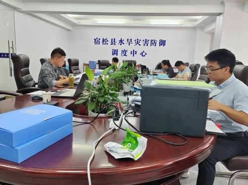 審計服務與社會經濟咨詢協同發力，助推經濟社會高質量發展